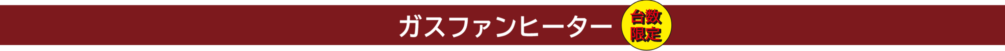 ガスファンヒーター　台数限定
